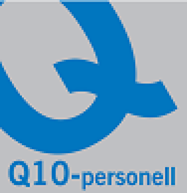 Logo Q10