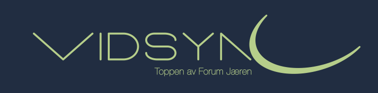 Vidsyn Ny LOGO grønnblå tjukk